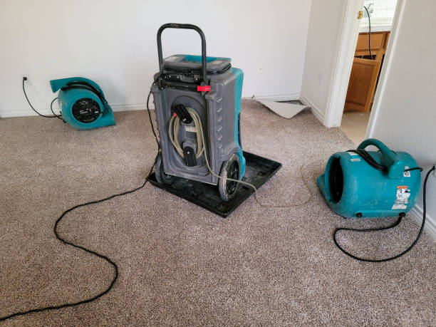 Best Water damage cleanup near me  in Romoland, CA