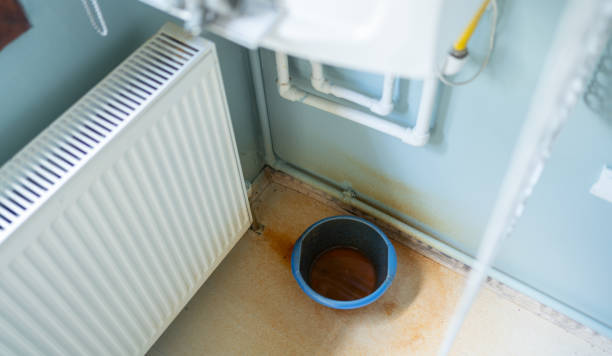 Best Local water damage restoration  in Romoland, CA